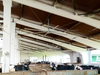 HVLS large ceiling fan for warehouse livestock 