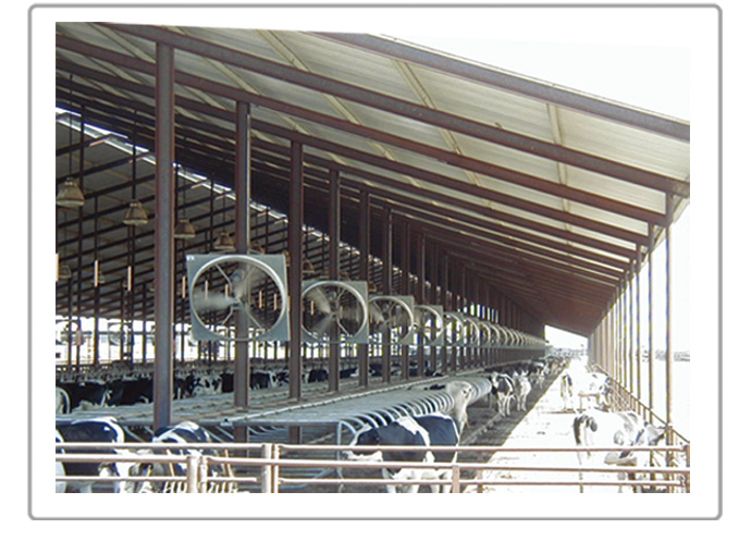 Who manufactures dairy barn ventilation fans in China