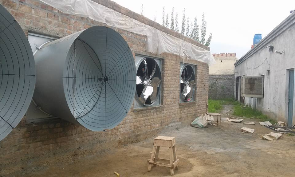 Weifang-Hipai-Machinery-Co-Ltd- (9).jpg